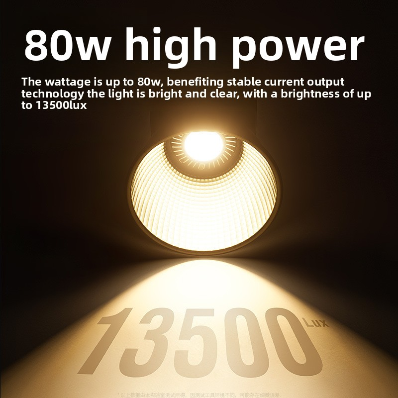 ZU80 80w Handheld Exterior Lam - Photography Lighting Led reseña y precio