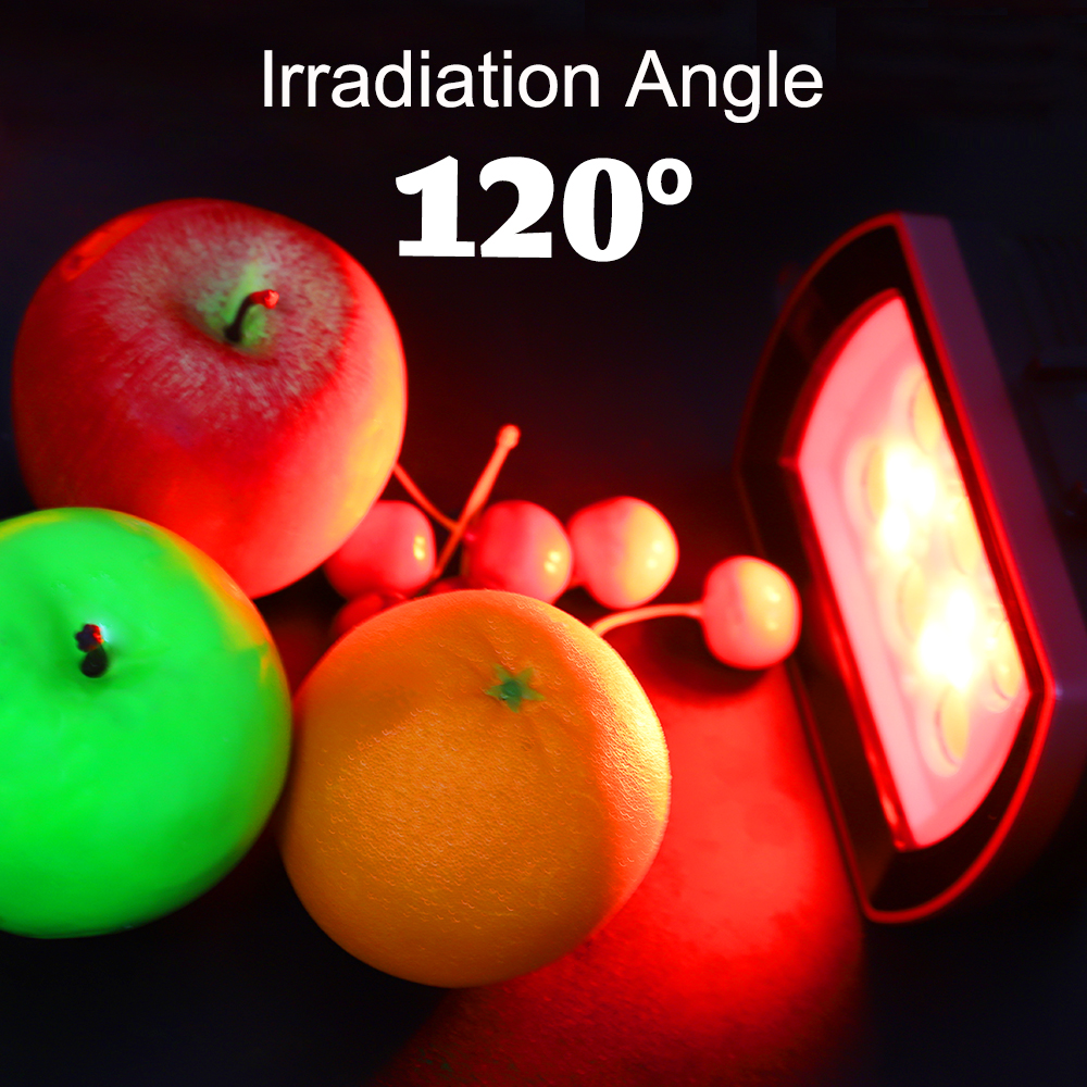 Seafrogs 40Meter Waterproof LE - Photography Lighting Brands reseña y precio